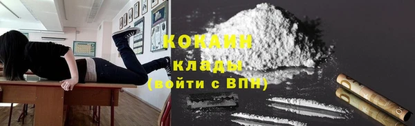 шишки Вязники