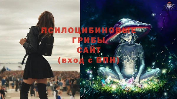 не бодяженный Вяземский