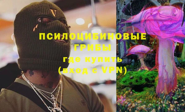 дмт Горняк
