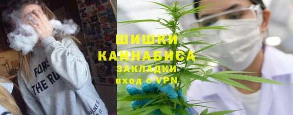шишки Вязники