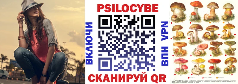 Псилоцибиновые грибы MAGIC MUSHROOMS  как найти закладки  Обнинск 